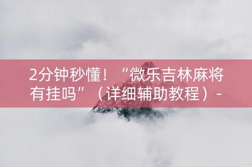 2分钟秒懂！“微乐吉林麻将有挂吗”（详细辅助教程）-哔哩哔哩