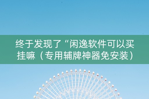 终于发现了“闲逸软件可以买挂嘛（专用辅牌神器免安装）
