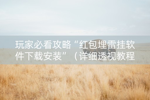 玩家必看攻略“红包埋雷挂软件下载安装”（详细透视教程）-哔哩哔哩