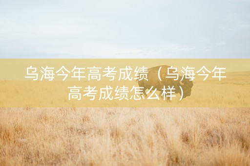 乌海今年高考成绩（乌海今年高考成绩怎么样）