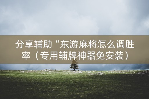 分享辅助“东游麻将怎么调胜率（专用辅牌神器免安装）