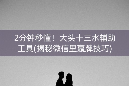 2分钟秒懂！大头十三水辅助工具(揭秘微信里赢牌技巧)