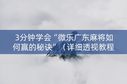 3分钟学会“微乐广东麻将如何赢的秘诀”（详细透视教程）-哔哩哔哩