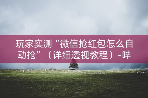 玩家实测“微信抢红包怎么自动抢”（详细透视教程）-哔哩哔哩