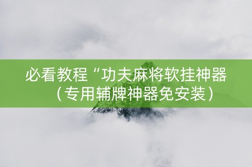 必看教程“功夫麻将软挂神器（专用辅牌神器免安装）