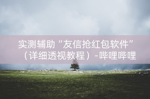 实测辅助“友信抢红包软件”（详细透视教程）-哔哩哔哩