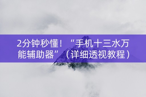 2分钟秒懂！“手机十三水万能辅助器”（详细透视教程）-哔哩哔哩