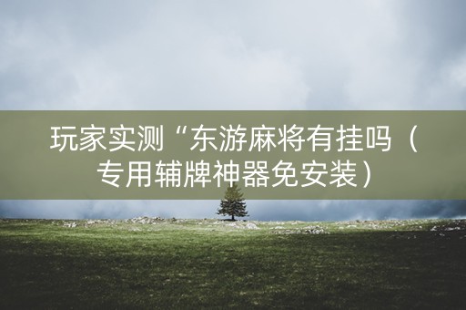 玩家实测“东游麻将有挂吗（专用辅牌神器免安装）