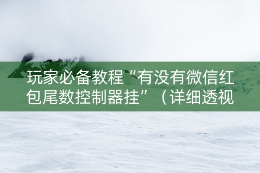 玩家必备教程“有没有微信红包尾数控制器挂”（详细透视教程）-哔哩哔哩