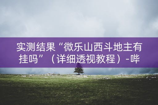 实测结果“微乐山西斗地主有挂吗”（详细透视教程）-哔哩哔哩