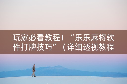 玩家必看教程！“乐乐麻将软件打牌技巧”（详细透视教程）-哔哩哔哩