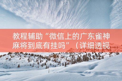 教程辅助“微信上的广东雀神麻将到底有挂吗”（详细透视教程）-哔哩哔哩