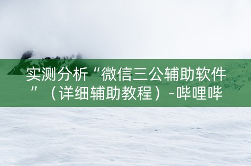 实测分析“微信三公辅助软件”（详细辅助教程）-哔哩哔哩