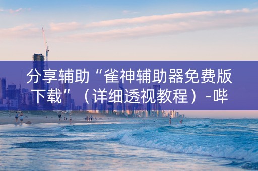分享辅助“雀神辅助器免费版下载”（详细透视教程）-哔哩哔哩