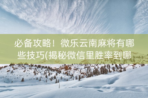 必备攻略！微乐云南麻将有哪些技巧(揭秘微信里胜率到哪调)