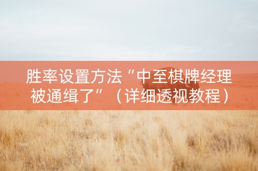 胜率设置方法“中至棋牌经理被通缉了”（详细透视教程）-哔哩哔哩