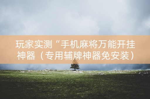 玩家实测“手机麻将万能开挂神器（专用辅牌神器免安装）