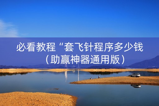 必看教程“套飞针程序多少钱（助赢神器通用版）