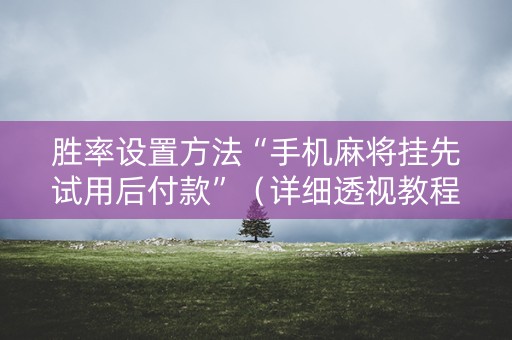 胜率设置方法“手机麻将挂先试用后付款”（详细透视教程）-哔哩哔哩