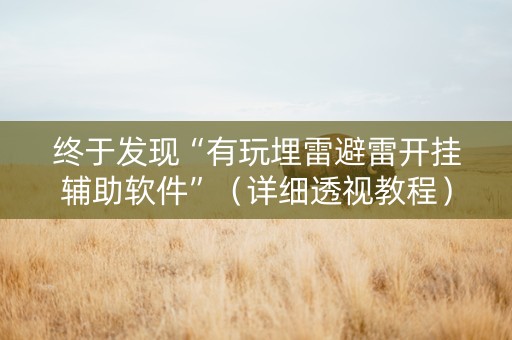 终于发现“有玩埋雷避雷开挂辅助软件”（详细透视教程）-哔哩哔哩