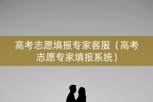 高考志愿填报专家客服（高考志愿专家填报系统）