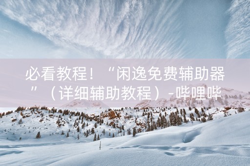 必看教程！“闲逸免费辅助器”（详细辅助教程）-哔哩哔哩