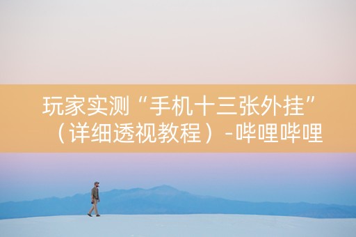 玩家实测“手机十三张外挂”（详细透视教程）-哔哩哔哩