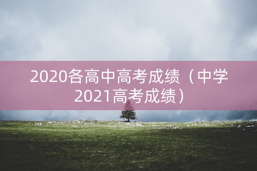 2020各高中高考成绩（中学2021高考成绩）