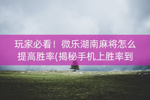 玩家必看！微乐湖南麻将怎么提高胜率(揭秘手机上胜率到哪调)