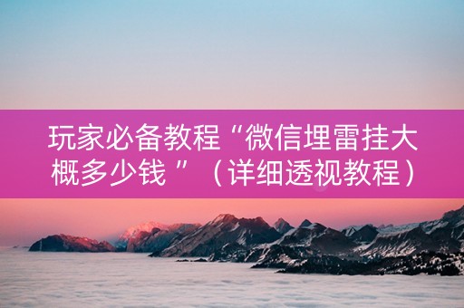 玩家必备教程“微信埋雷挂大概多少钱 ”（详细透视教程）-哔哩哔哩