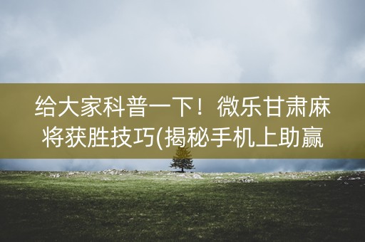 给大家科普一下！微乐甘肃麻将获胜技巧(揭秘手机上助赢神器购买)