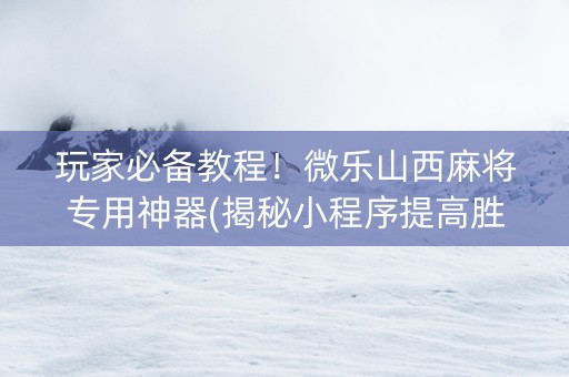 玩家必备教程！微乐山西麻将专用神器(揭秘小程序提高胜率)