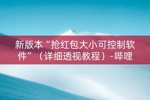 新版本“抢红包大小可控制软件”（详细透视教程）-哔哩哔哩