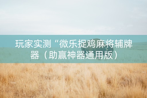 玩家实测“微乐捉鸡麻将辅牌器（助赢神器通用版）