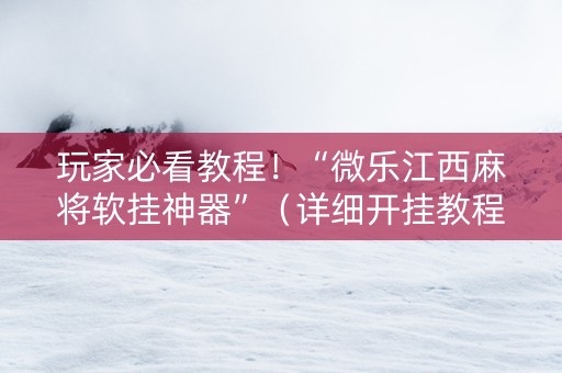 玩家必看教程！“微乐江西麻将软挂神器”（详细开挂教程）-哔哩哔哩