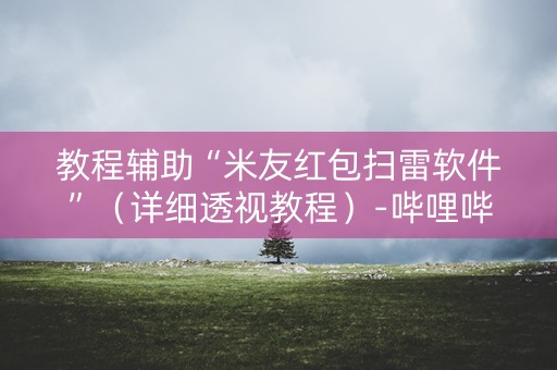 教程辅助“米友红包扫雷软件”（详细透视教程）-哔哩哔哩
