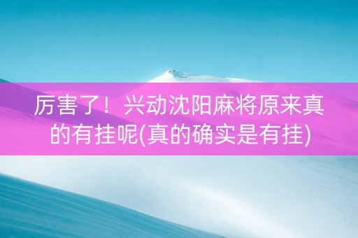厉害了！兴动沈阳麻将原来真的有挂呢(真的确实是有挂)