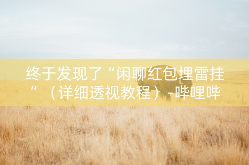 终于发现了“闲聊红包埋雷挂”（详细透视教程）-哔哩哔哩