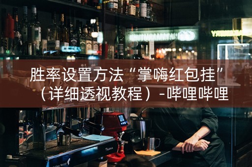胜率设置方法“掌嗨红包挂”（详细透视教程）-哔哩哔哩