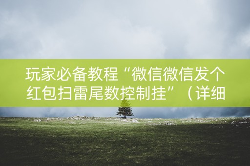 玩家必备教程“微信微信发个红包扫雷尾数控制挂”（详细透视教程）-哔哩哔哩