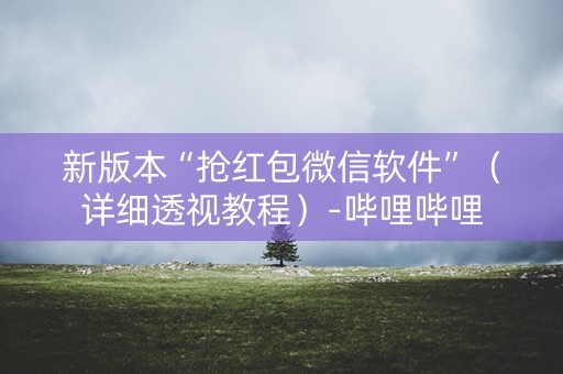 新版本“抢红包微信软件”（详细透视教程）-哔哩哔哩