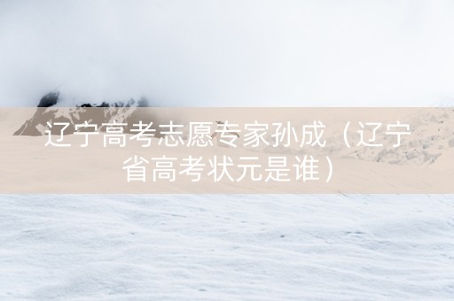 辽宁高考志愿专家孙成（辽宁省高考状元是谁）