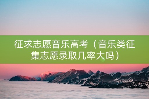 征求志愿音乐高考（音乐类征集志愿录取几率大吗）