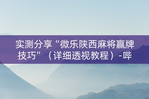 实测分享“微乐陕西麻将赢牌技巧”（详细透视教程）-哔哩哔哩