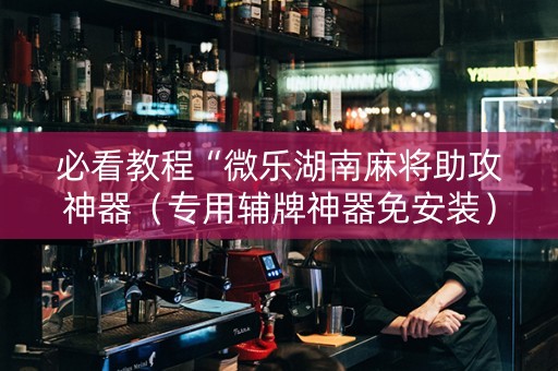 必看教程“微乐湖南麻将助攻神器（专用辅牌神器免安装）