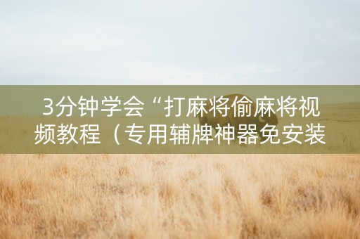 3分钟学会“打麻将偷麻将视频教程（专用辅牌神器免安装）