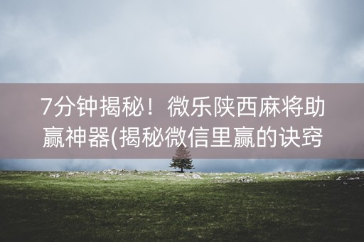 7分钟揭秘！微乐陕西麻将助赢神器(揭秘微信里赢的诀窍)