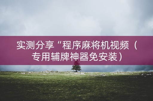 实测分享“程序麻将机视频（专用辅牌神器免安装）