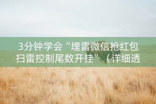3分钟学会“埋雷微信抢红包扫雷控制尾数开挂”（详细透视教程）-哔哩哔哩