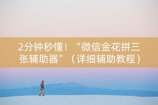 2分钟秒懂！“微信金花拼三张辅助器”（详细辅助教程）-哔哩哔哩